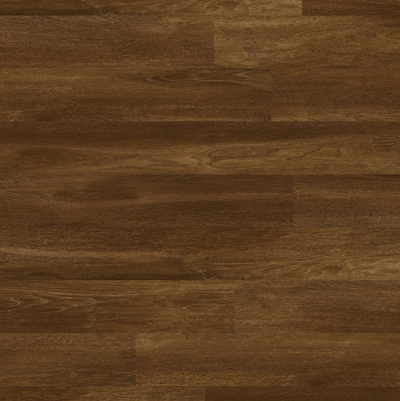 Sessile Oak Naples